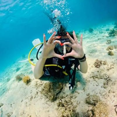 Baptême de plongée en mer Rouge à Safaga avec Birds of Paradise