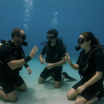 cours open water mer rouge egypte avec Birds of Paradise