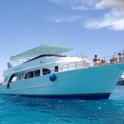 bateau daily