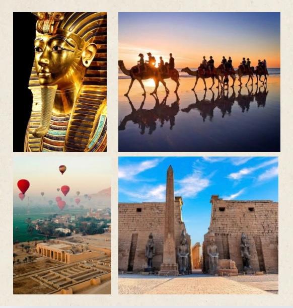 Excursion en Égypte avec Birds of Paradise : Explorez les trésors de l'Antiquité et les merveilles naturelles