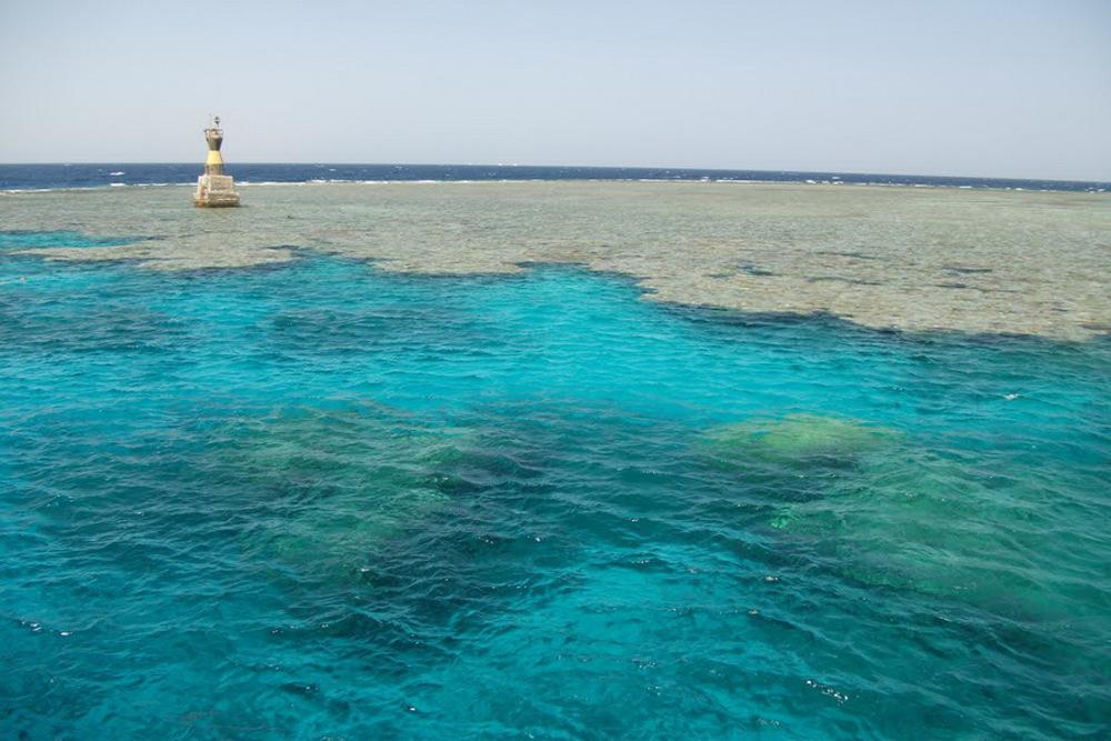 Site de plongée Middle Reef en Mer Rouge, Égypte avec Birds of Paradise.