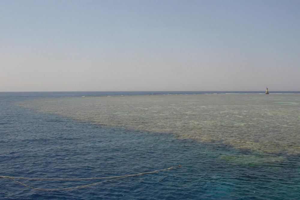 ite de plongée Panorama Reef à Safaga, Mer Rouge, Égypte.