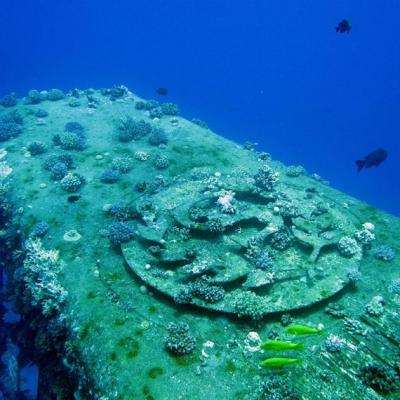 Plongée sur l’épave Salem Express en Mer Rouge avec Birds of Paradise.